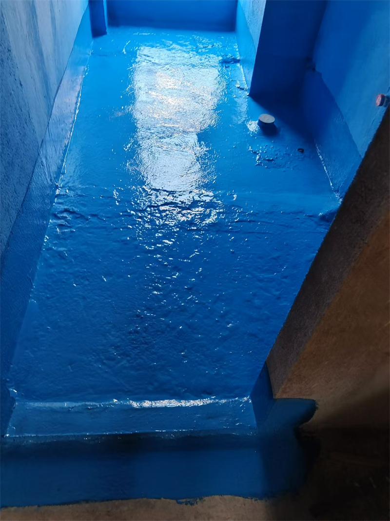 mmexport1735477644039.jpg