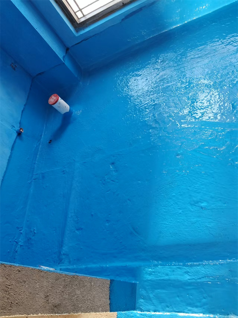 mmexport1735477648278.jpg