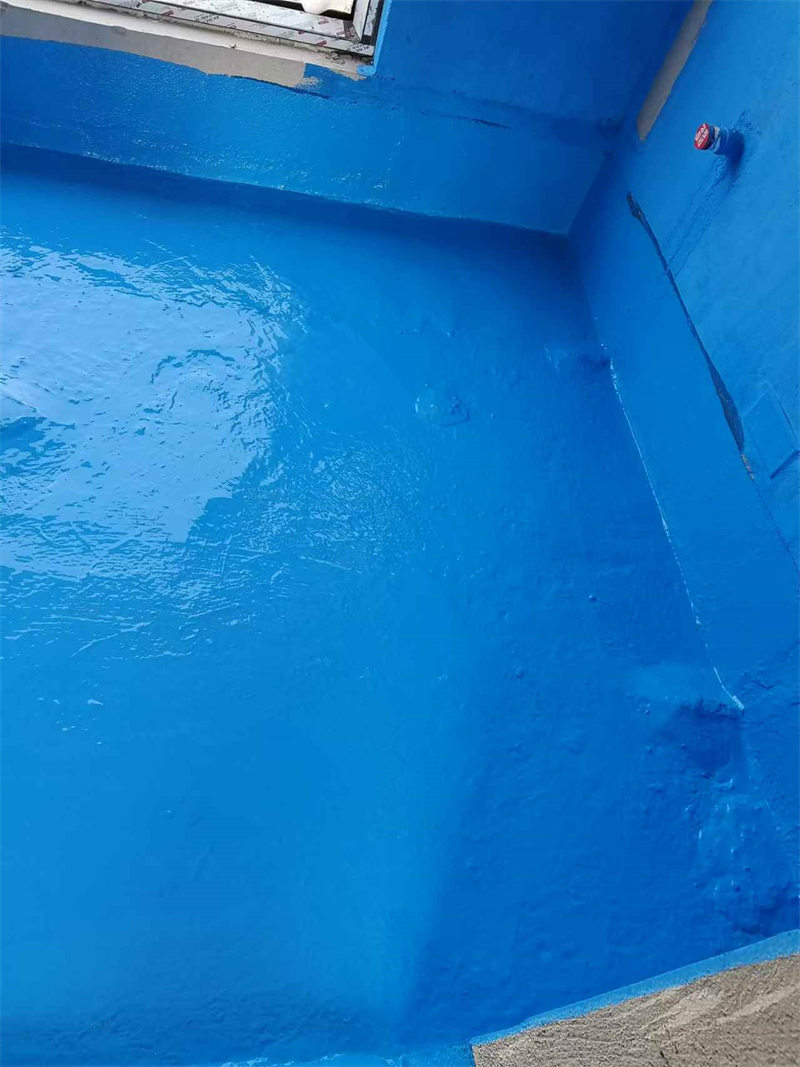 mmexport1735477655370.jpg