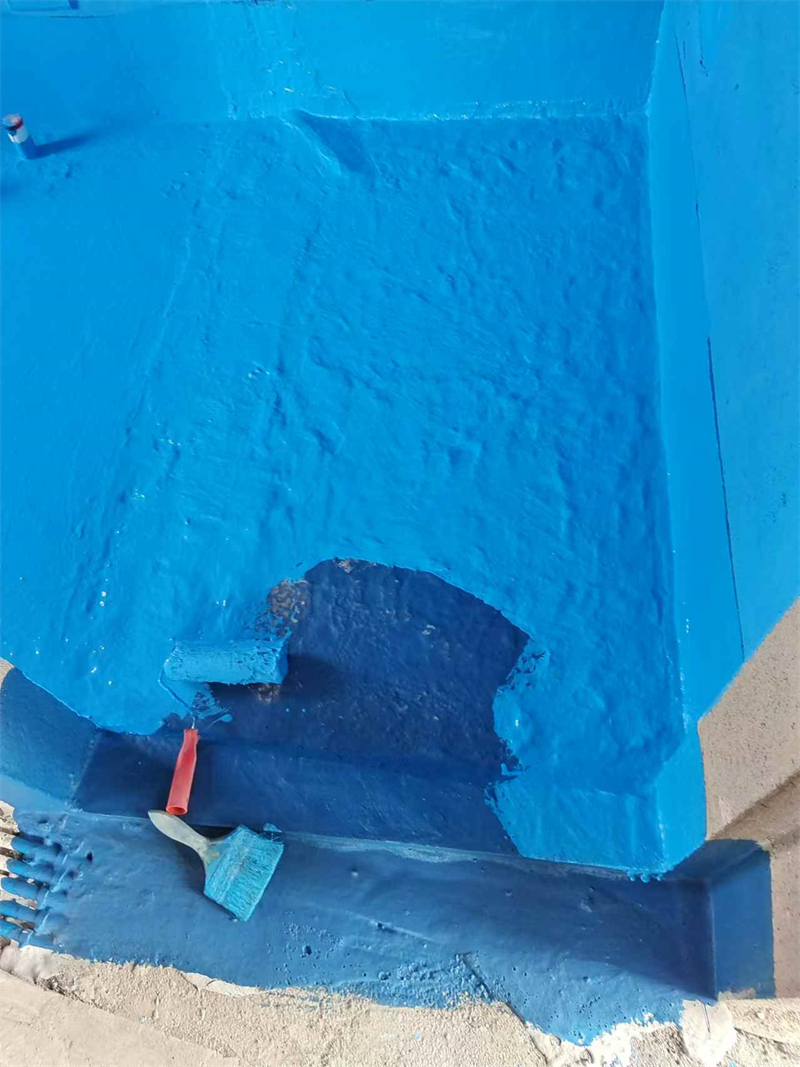 mmexport1735477664247.jpg