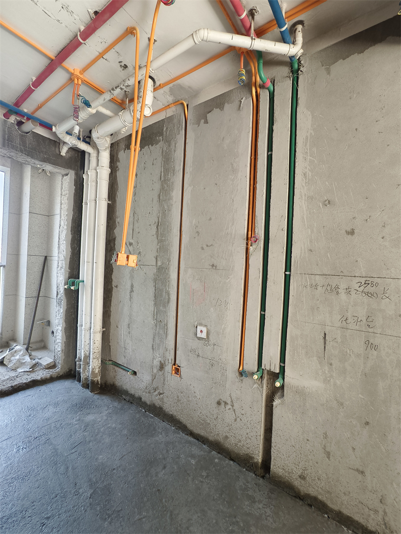 IMG_20241229_110317.jpg