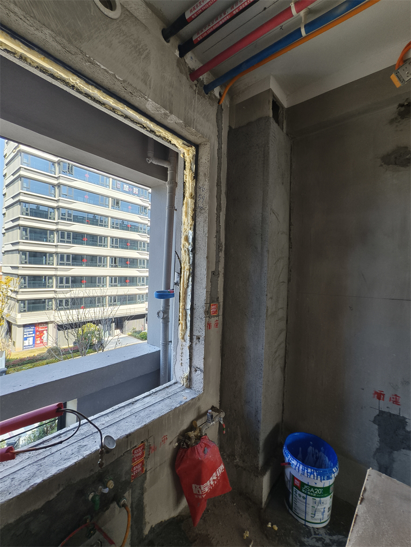 IMG_20241229_115425.jpg