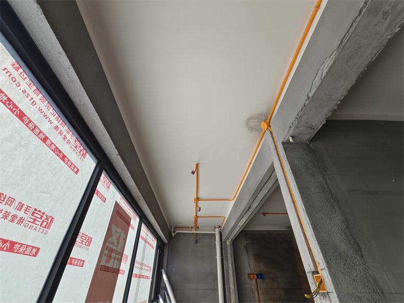 IMG_20241229_121913.jpg
