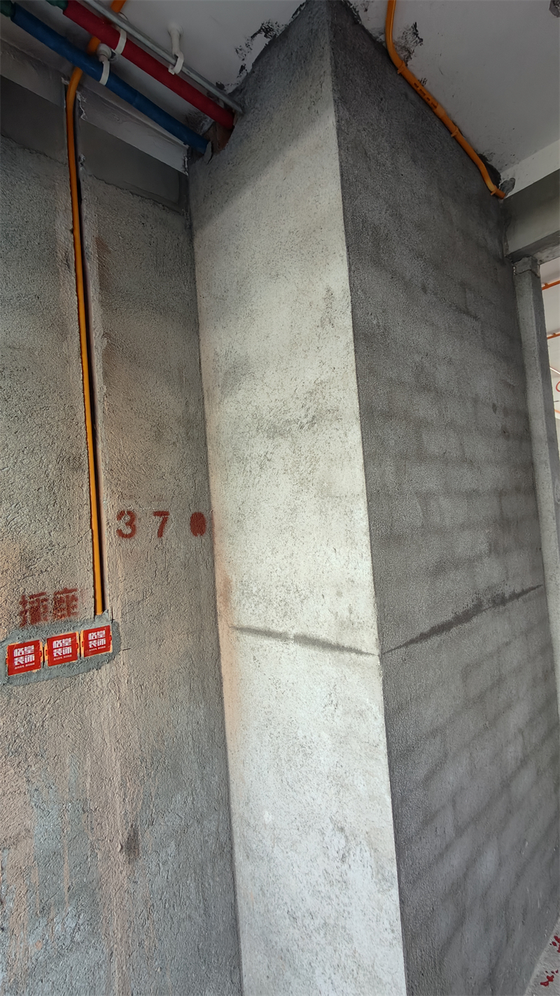 IMG20241231094829.jpg