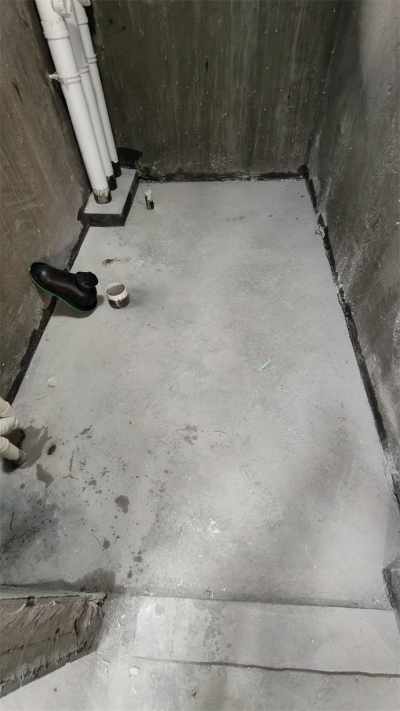 IMG20250101162452.jpg