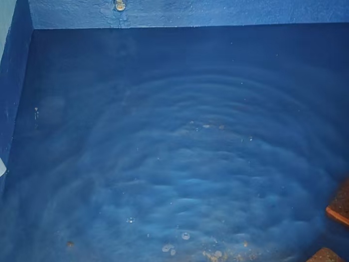 5a9ba261906e8ab7daddf5d9c021408.jpg