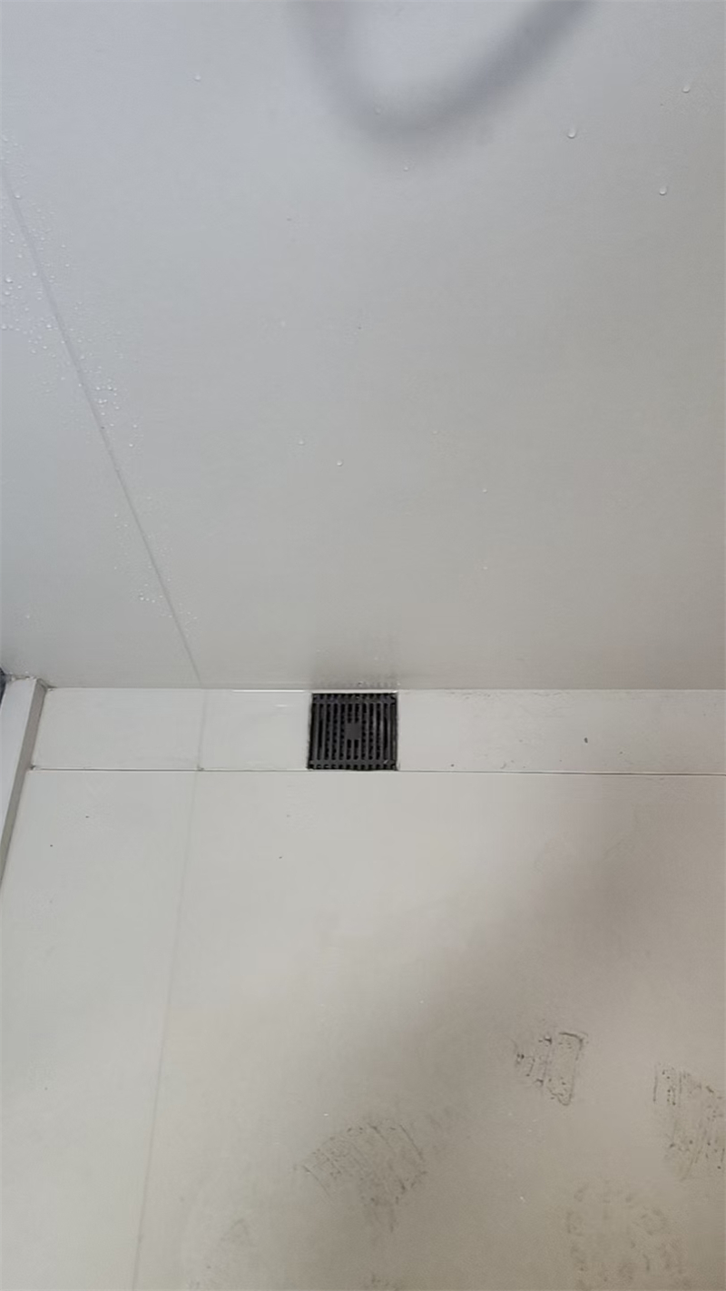 mmexport1735797606159.jpg