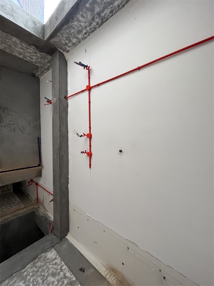 IMG_3565.JPG