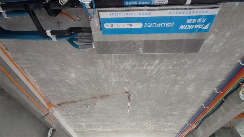 IMG20250103091932.jpg