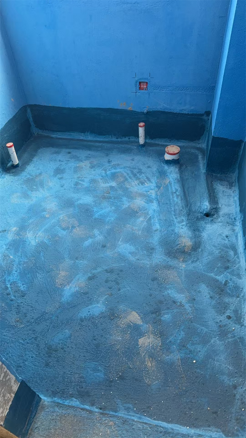 mmexport1735988796889.jpg
