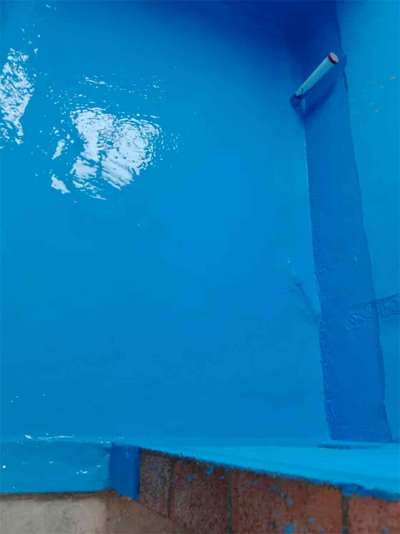 mmexport1735988847390.jpg