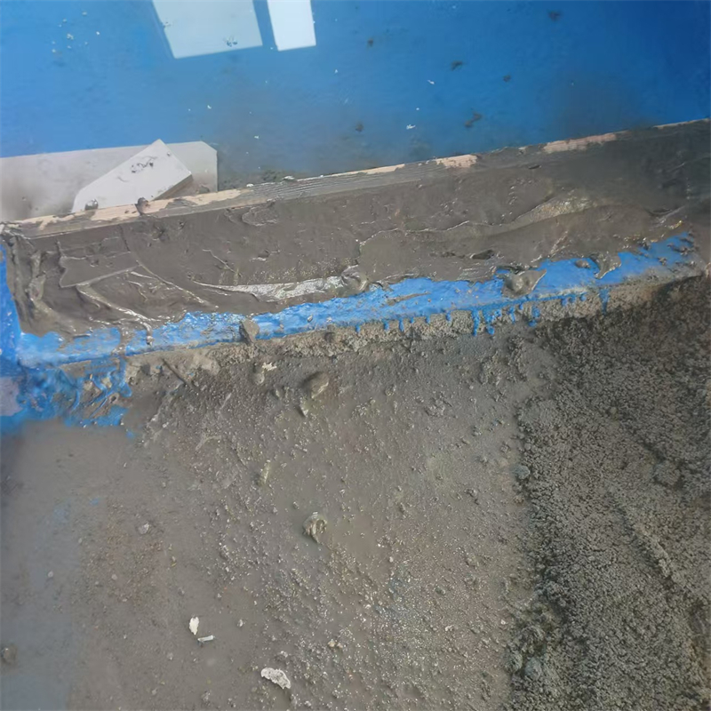 mmexport1735989840987.jpg