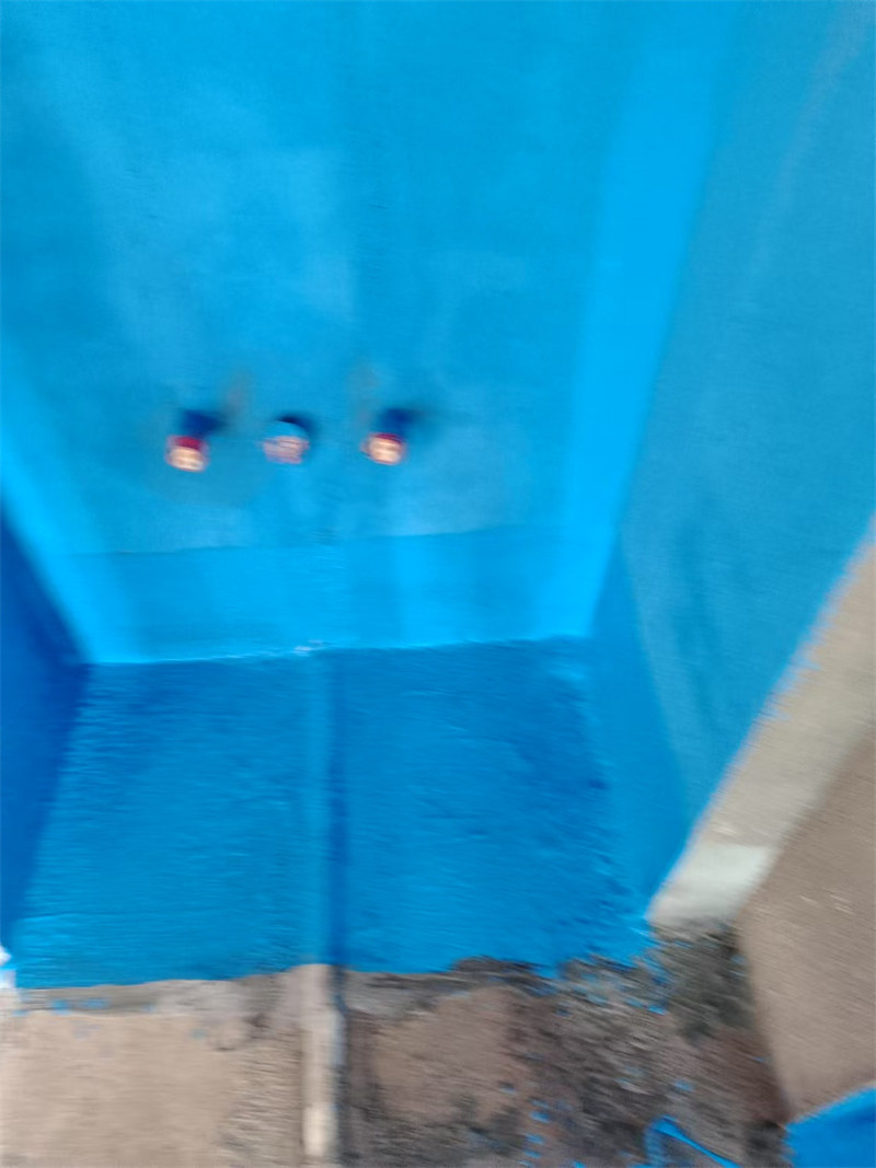 mmexport1735990242055.jpg
