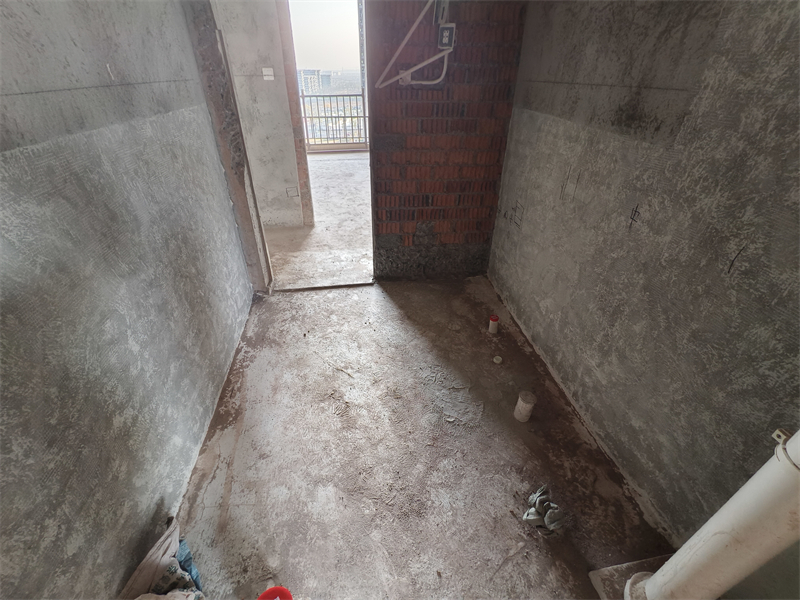 IMG_20250104_160801.jpg