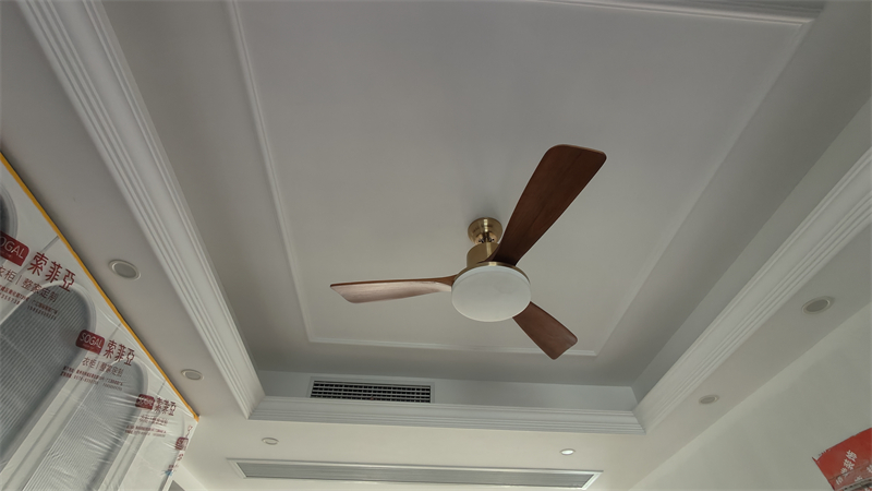 IMG20250105124519.jpg