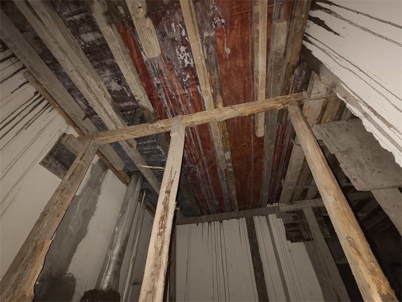 IMG_20250104_130343.jpg