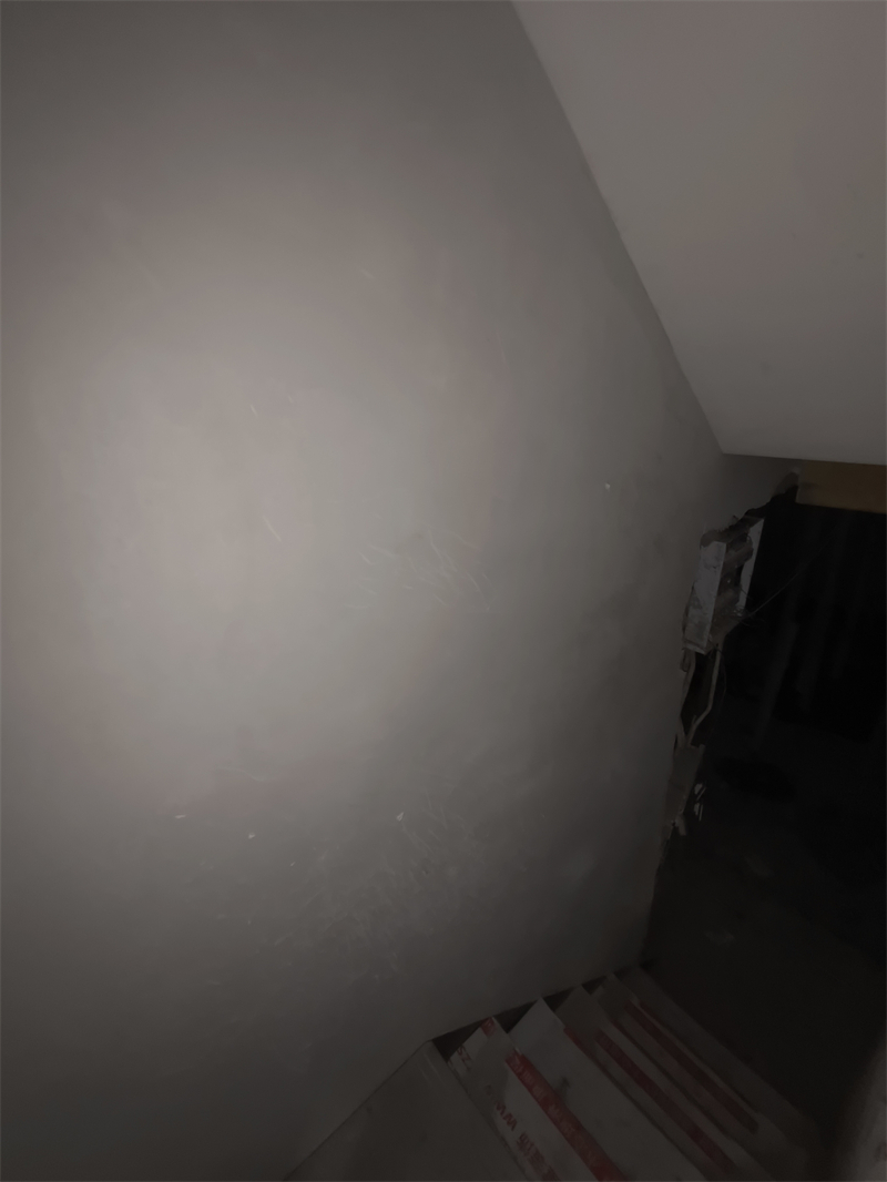 IMG_20250104_130948.jpg