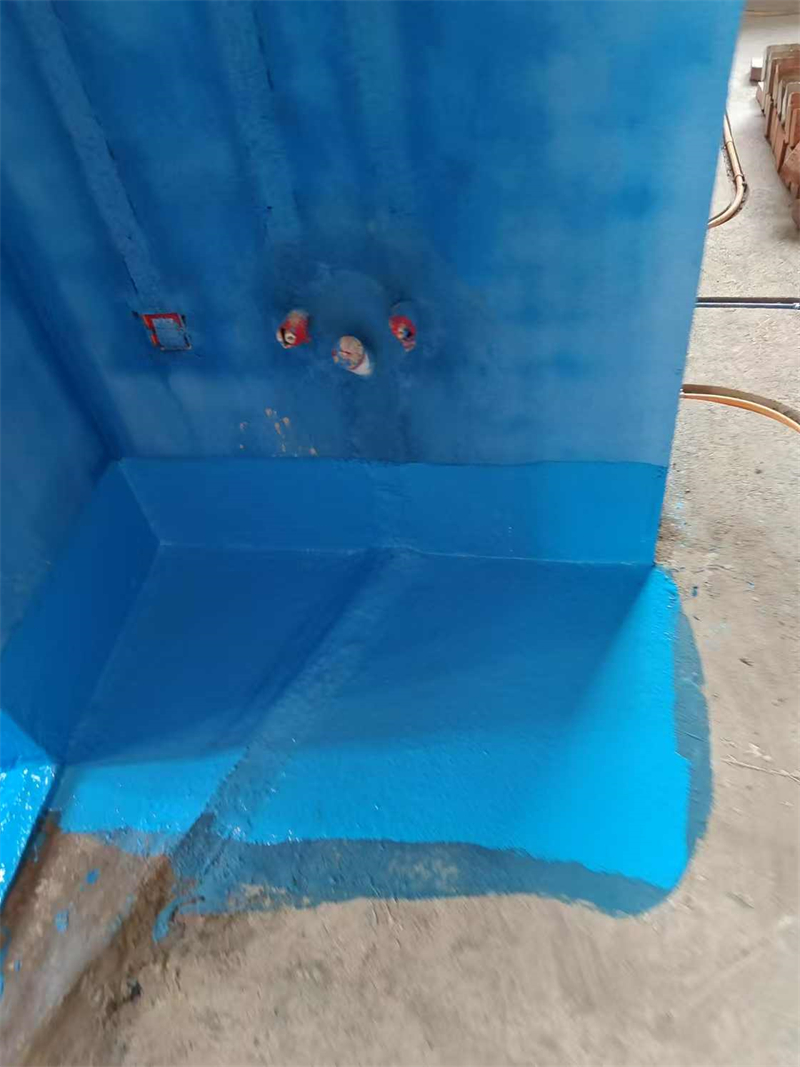 mmexport1736163526299.jpg