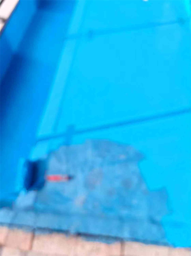mmexport1736163517973.jpg
