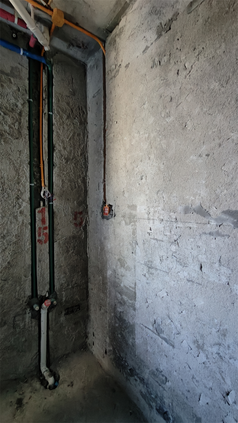 IMG20250106105518.jpg