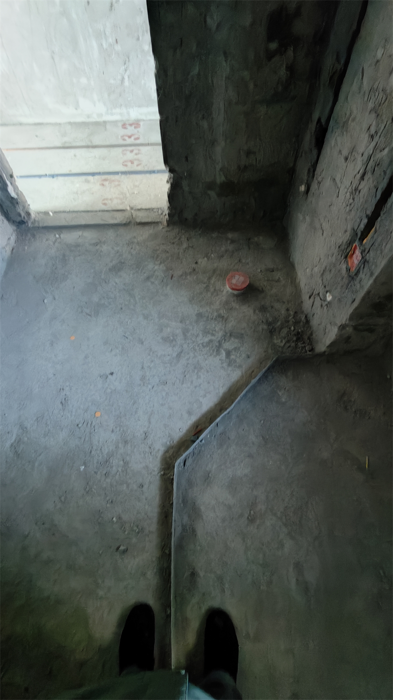 IMG20250106105533.jpg