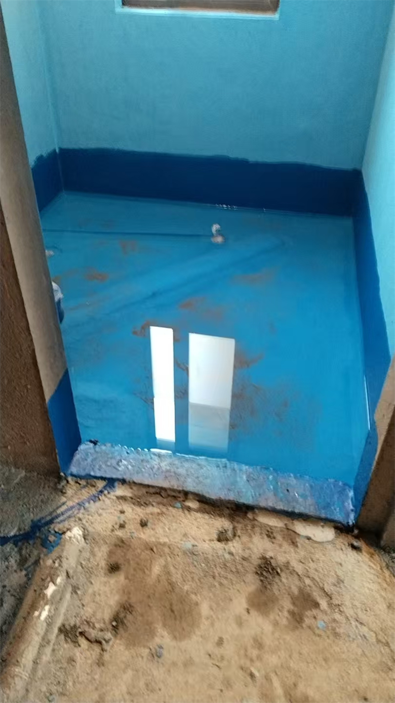 mmexport1736225346445.jpg