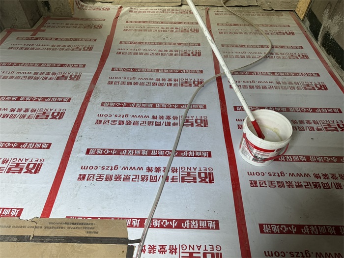 IMG_7929.JPEG