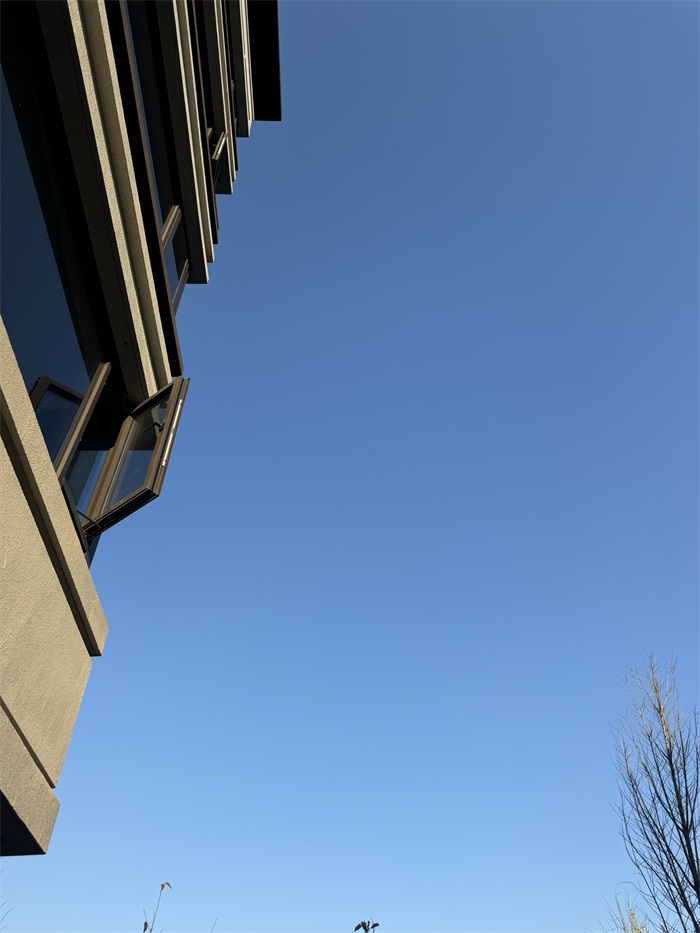 IMG_8678.JPEG