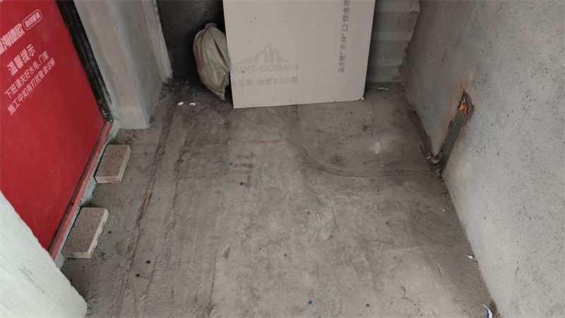 IMG20250109124234.jpg