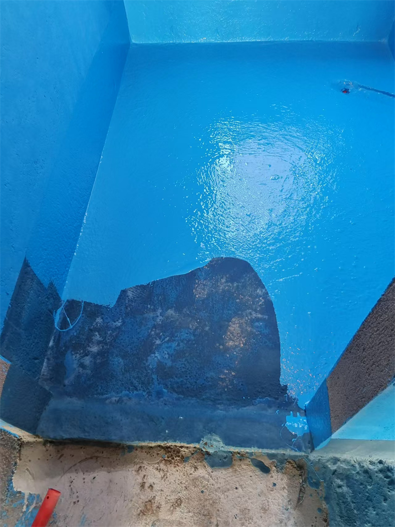 mmexport1736487713481.jpg