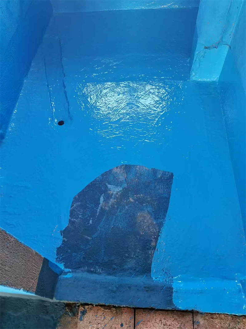 mmexport1736487715405.jpg