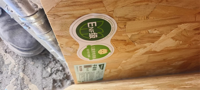 mmexport1736487653947.jpg