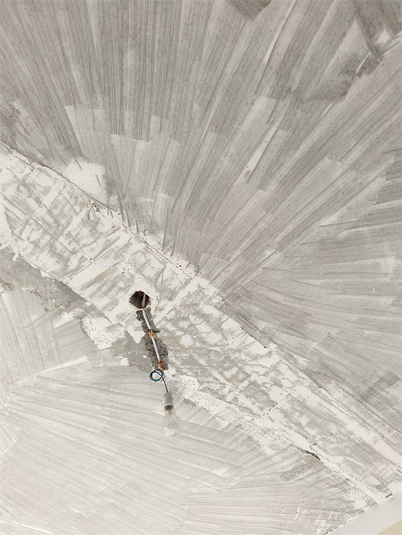 IMG_20250111_100548.jpg