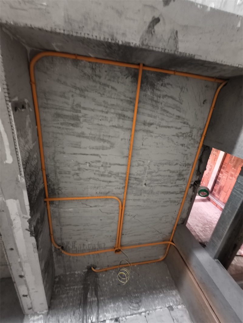 IMG_20250112_093042.jpg