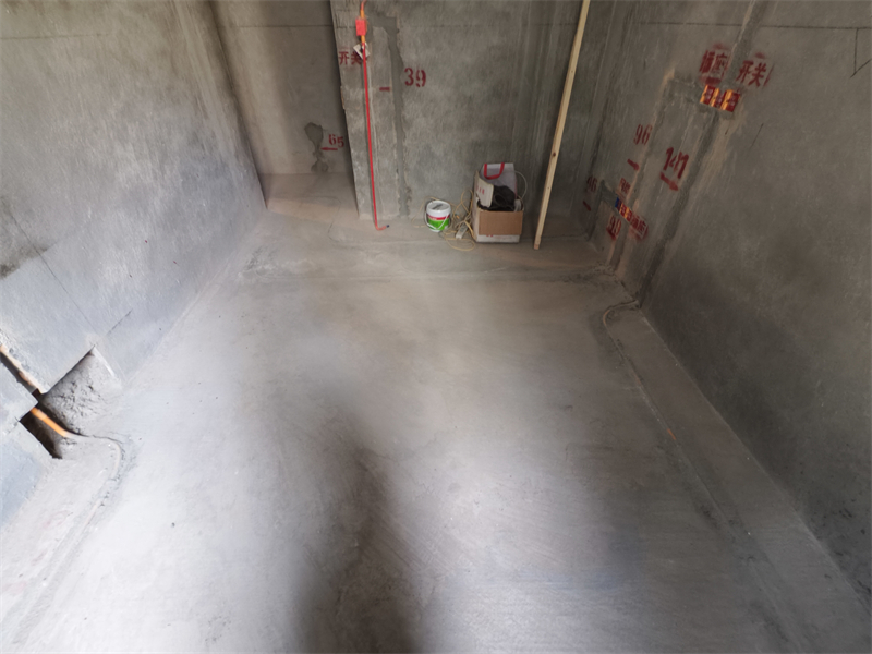 IMG_20250116_122616.jpg