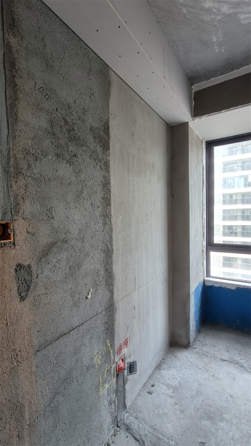 IMG20250114150101.jpg