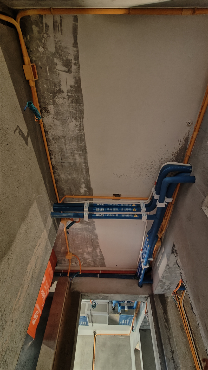 IMG20250117163505.jpg