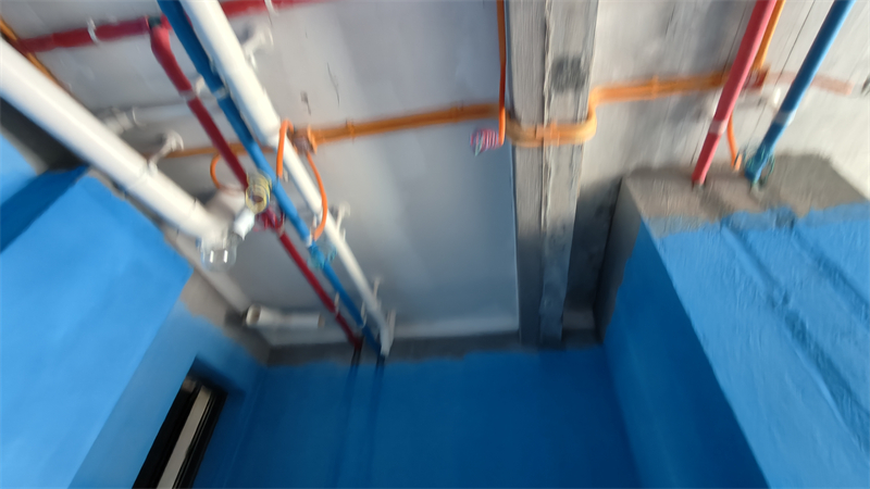 IMG20250112132059.jpg