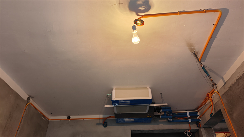 IMG20250119101308.jpg