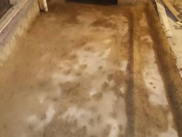 mmexport1739006475022.jpg