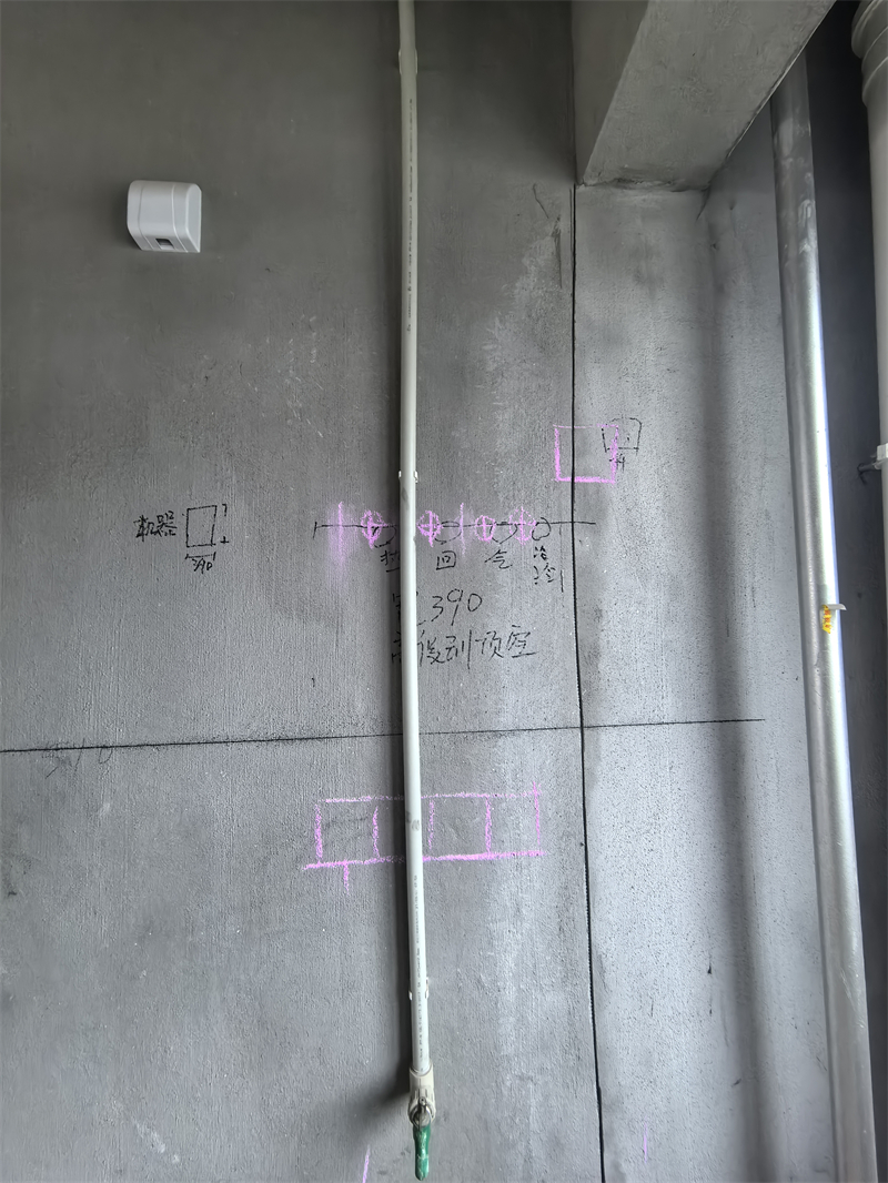 mmexport1739169234483.jpg
