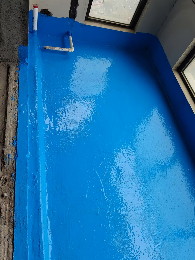mmexport1739522148304.jpg