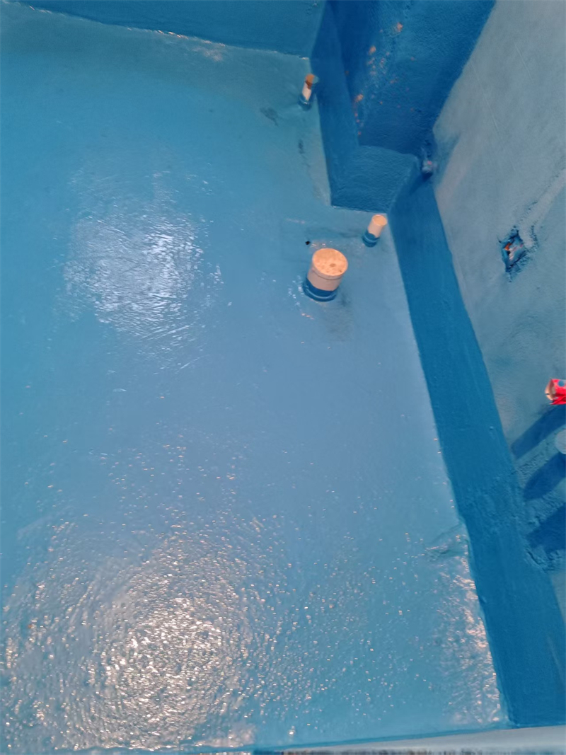 mmexport1739597201508.jpg