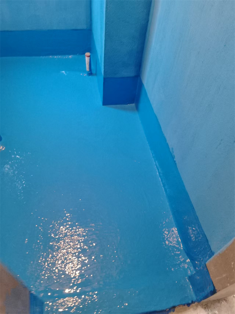 mmexport1739607522196.jpg