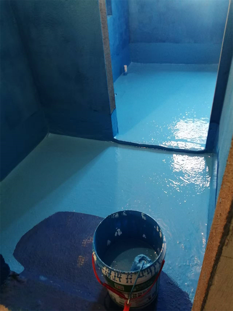 mmexport1739769749368.jpg