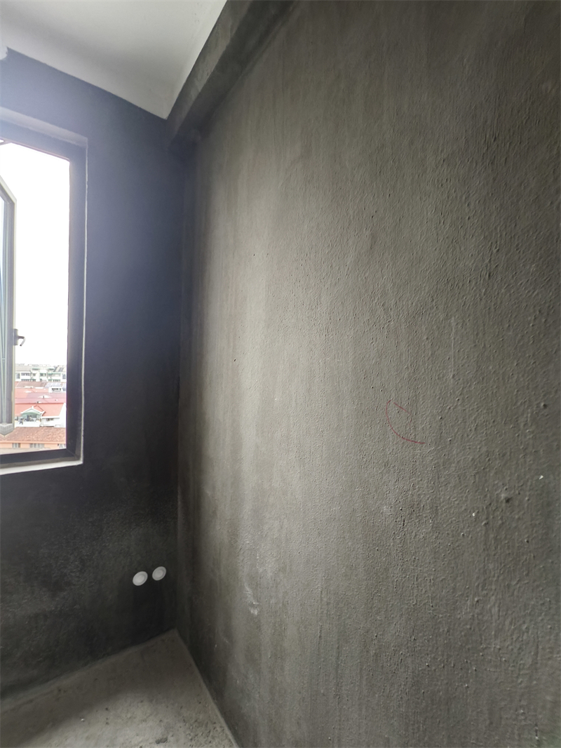 IMG_20250217_083211.jpg
