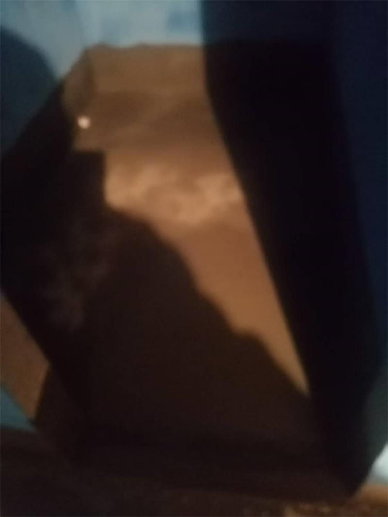 mmexport1739777780688.jpg