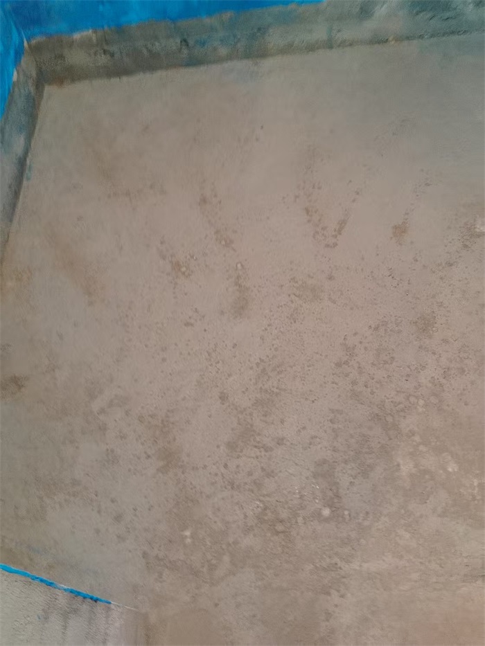 e22225f5a67fcd9e14f2f774ef5f4aa6.JPG