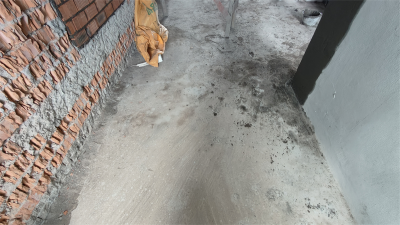 IMG20250218140424.jpg
