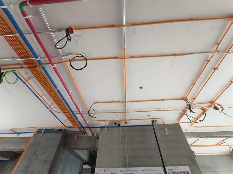 IMG_20250218_142413.jpg